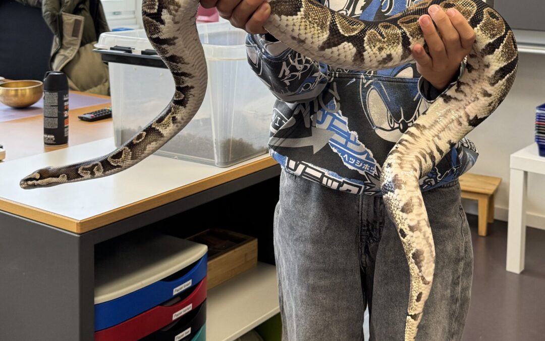 Tierischer Besuch bei der Klasse 4c